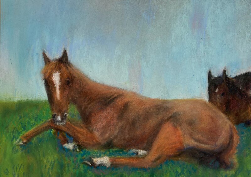 Horse portrait in soft pastels