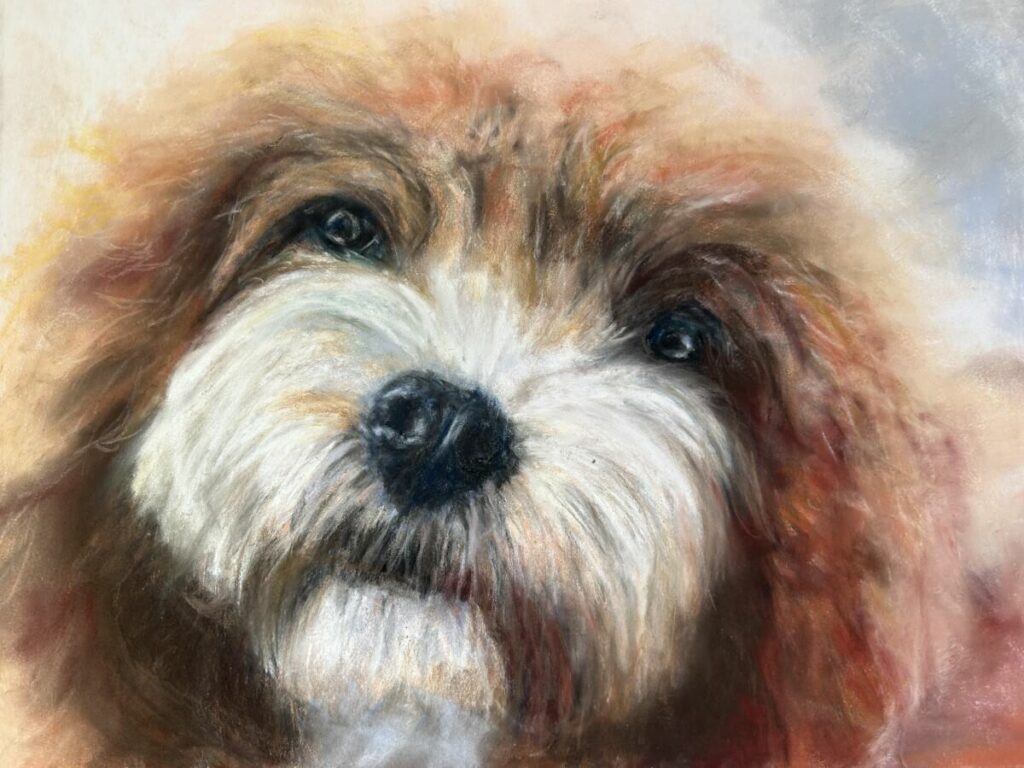 Dog Portrait by Francesca Goddard